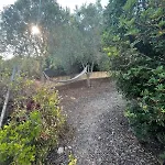 度假居 Da Riccardo E Silvia 托雷戴科尔萨里