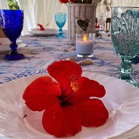 Tatil Evi Da Riccardo E Silvia Torre dei Corsari