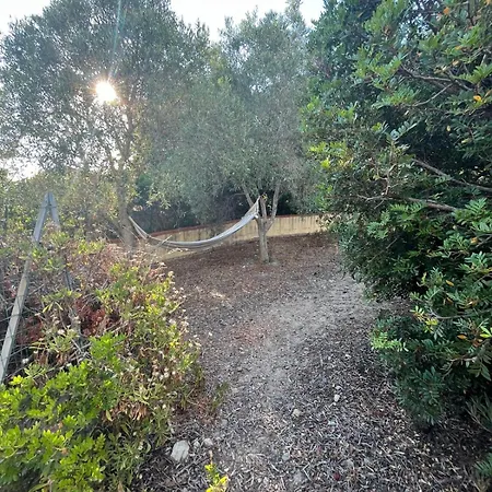 Tatil Evi Da Riccardo E Silvia Torre dei Corsari